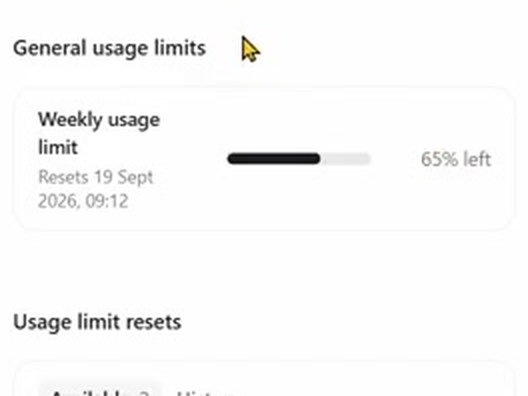 ChatGPT 설정의 주간 사용량 막대. 65% left